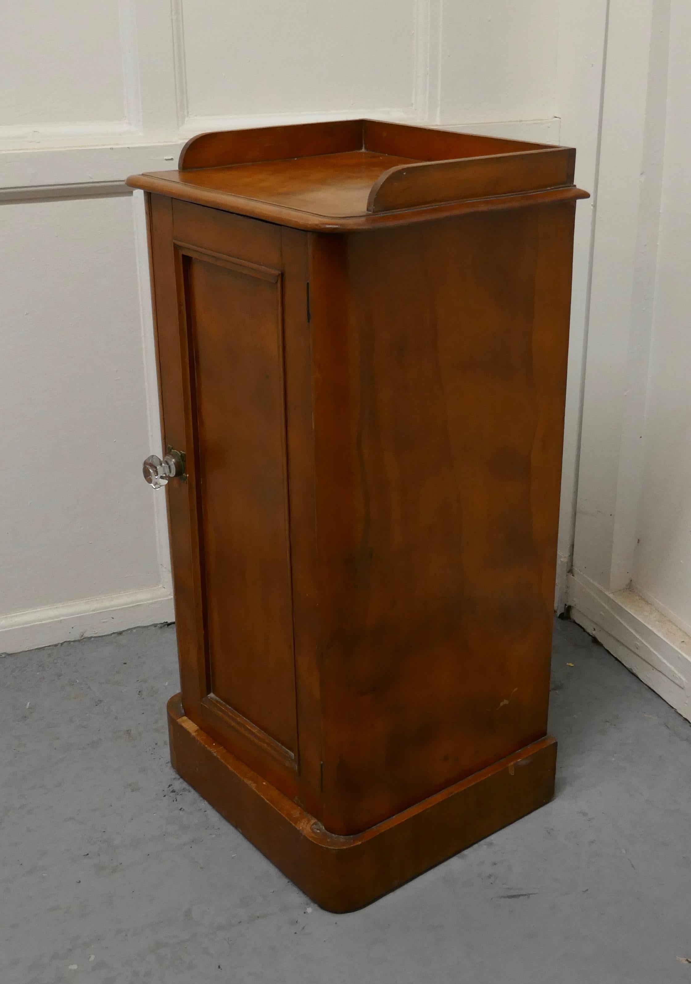 Victorian Birch Bedside Cupboard For Sale 1