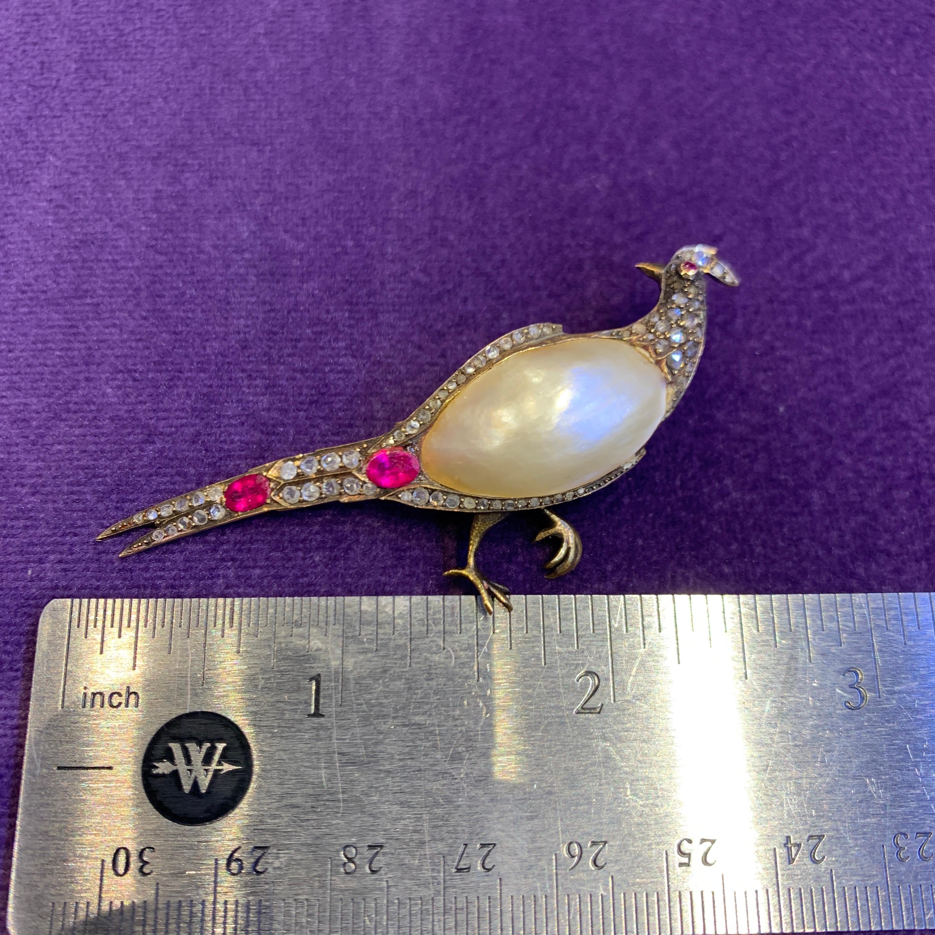 Victorian Bird Brooch For Sale 3