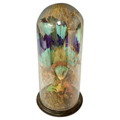 Victorian Blue European Roller (Coracias Garrulus) Bird in Glass Dome Taxidermy