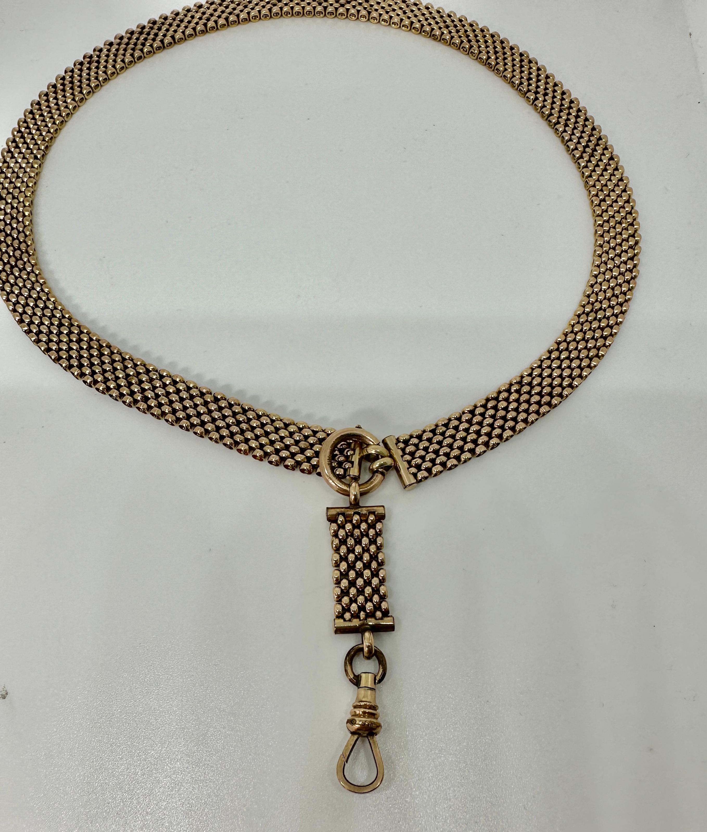 Viktorianisches Buch Kette Halskette Antike Hund Clip für Medaillon oder Anhänger circa 1870 für Damen oder Herren im Angebot