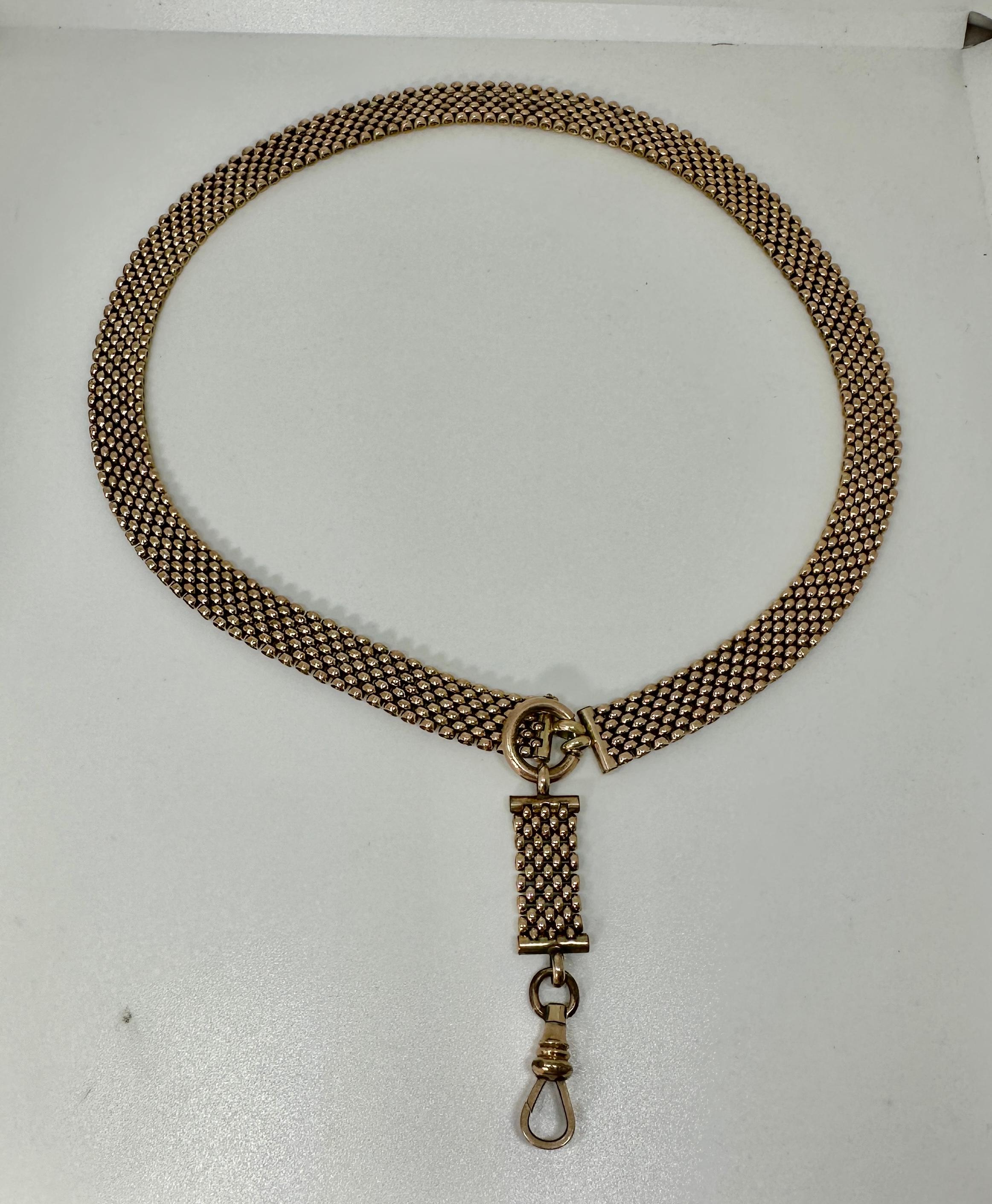 Viktorianisches Buch Kette Halskette Antike Hund Clip für Medaillon oder Anhänger circa 1870 im Angebot 3