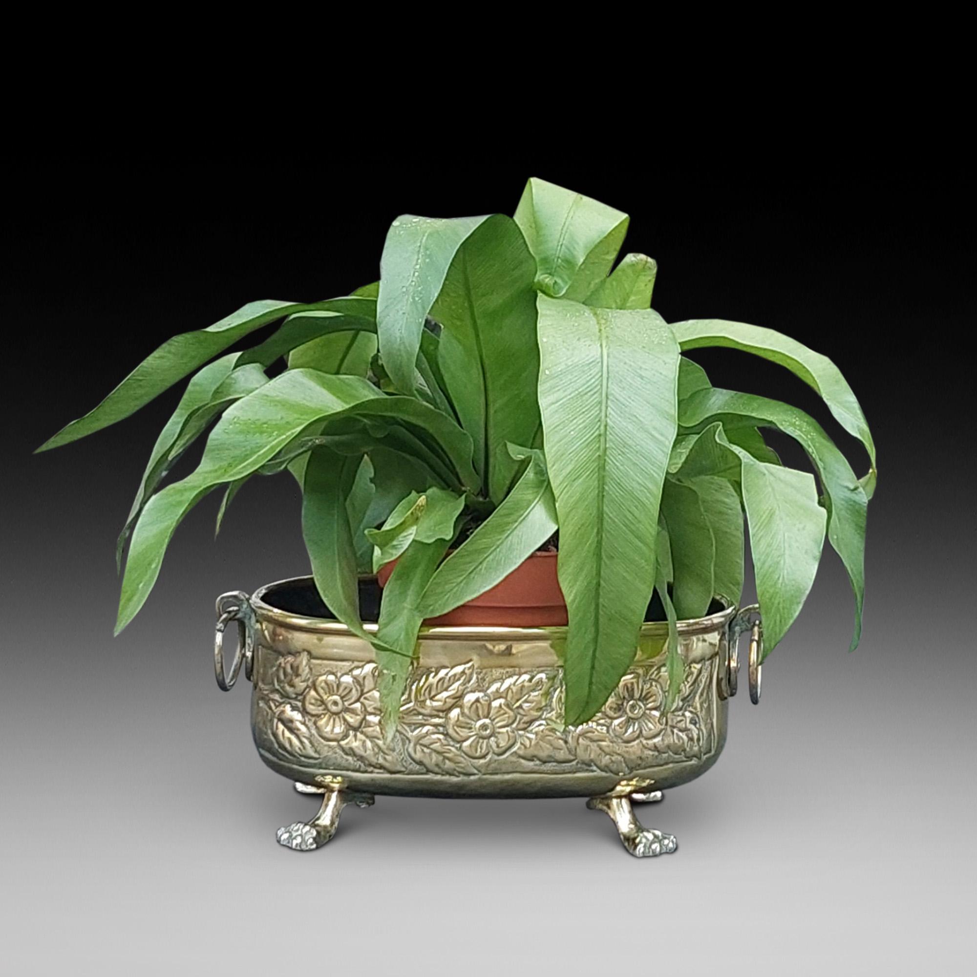 Victorian Brass 