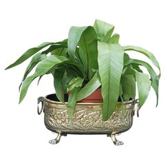 Victorian Brass "Crocus" Planter