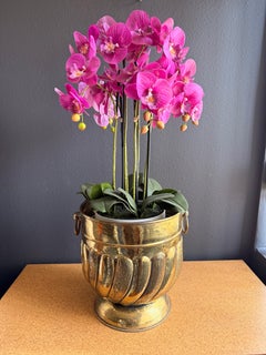 Victorian Brass Fluted Planter with Ring Handles, Antique Style, 1970s