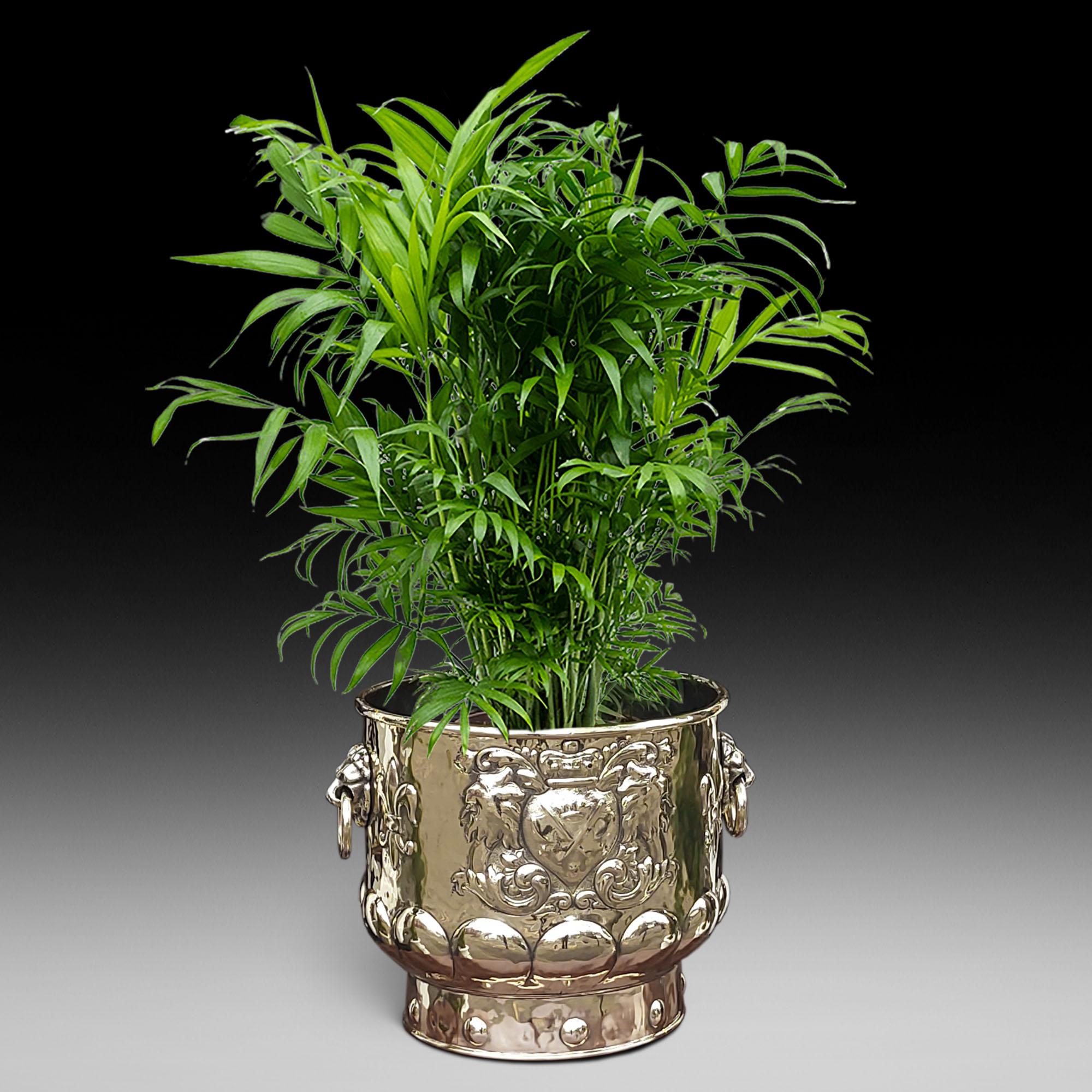 Jardiniere victorienne en laiton avec seau à bûches Bon état - En vente à Altrincham, GB