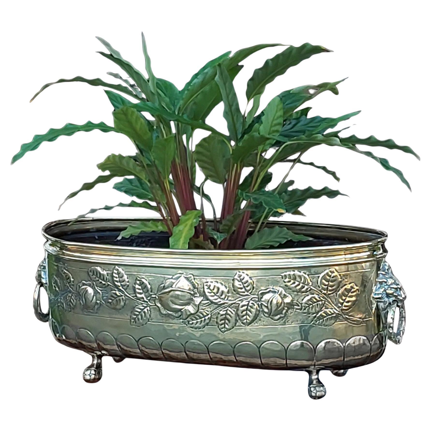 Victorian Brass Planter Trough