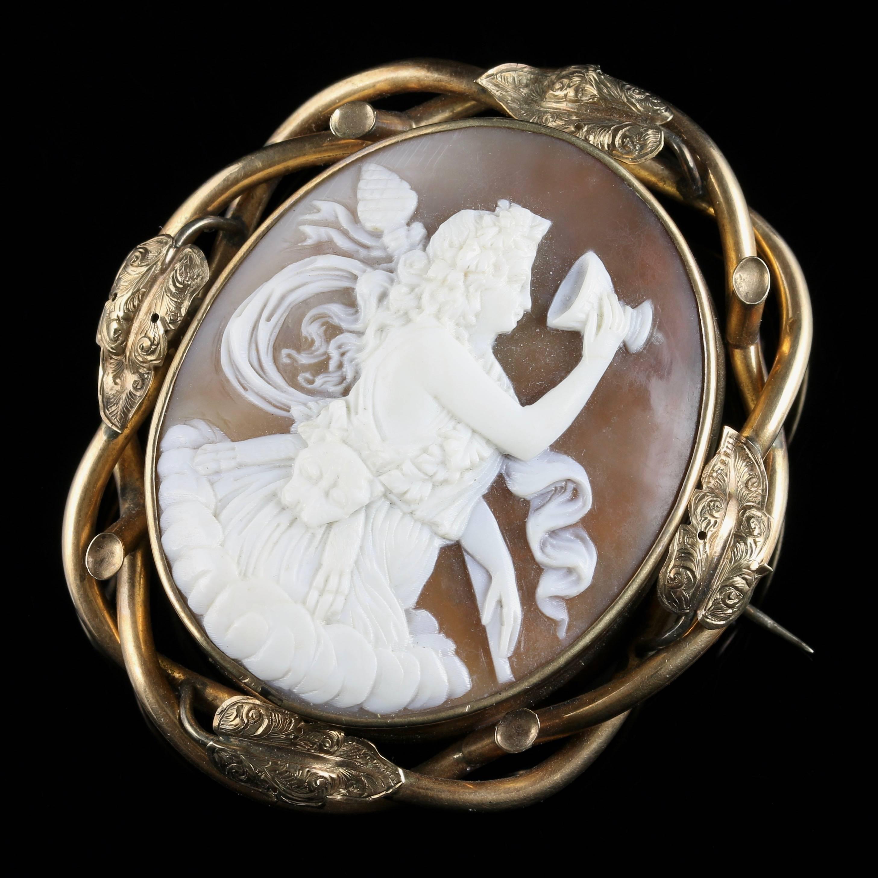 For more details please click continue reading down below...

This stunning antique Victorian cameo brooch is made with Bull mouth shell. Circa 1860

Set in 18ct Gold gilt.

The wonderful Cameo is set in Bull mouth shell and depicts a beautiful