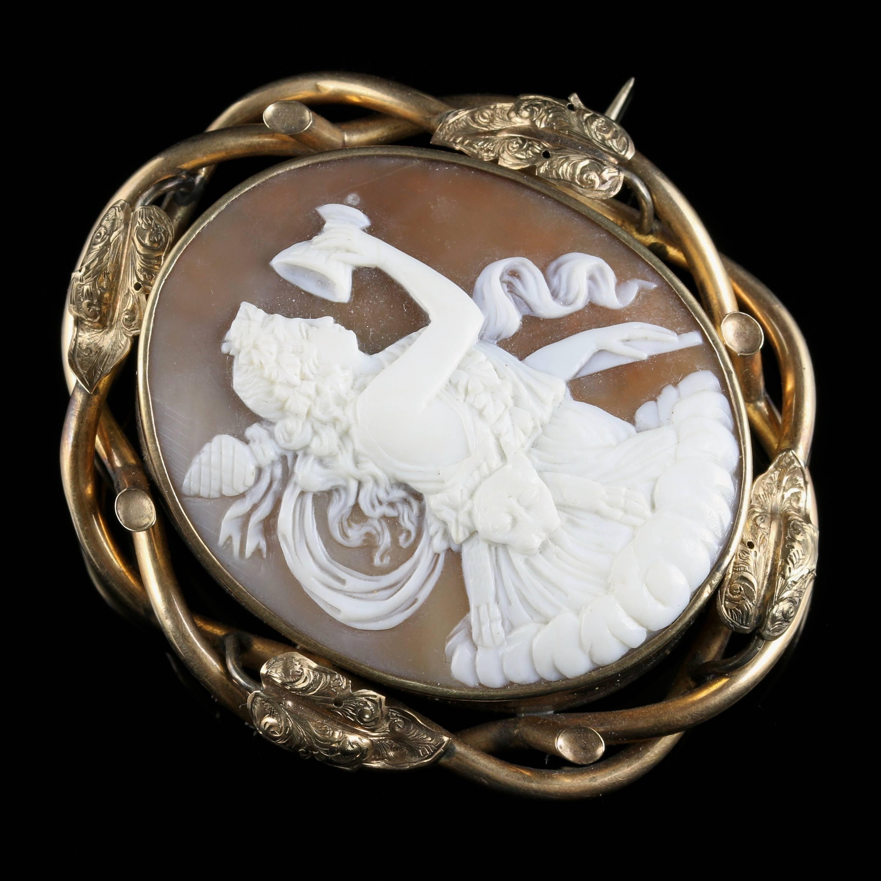 Victorian Bull Mouth Shell Cameo Brooch In Excellent Condition For Sale In Lancaster, Lancashire