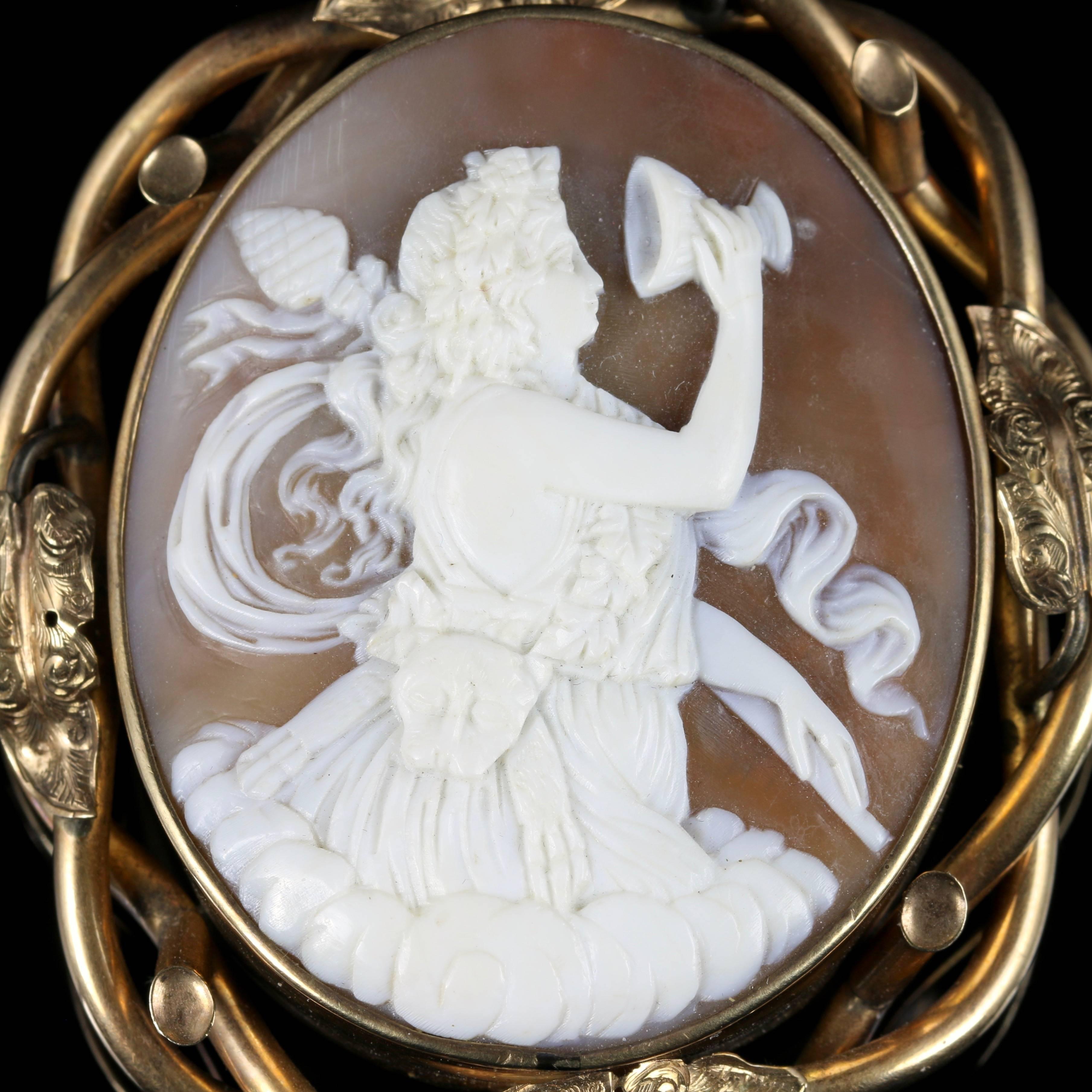 Women's Victorian Bull Mouth Shell Cameo Brooch For Sale