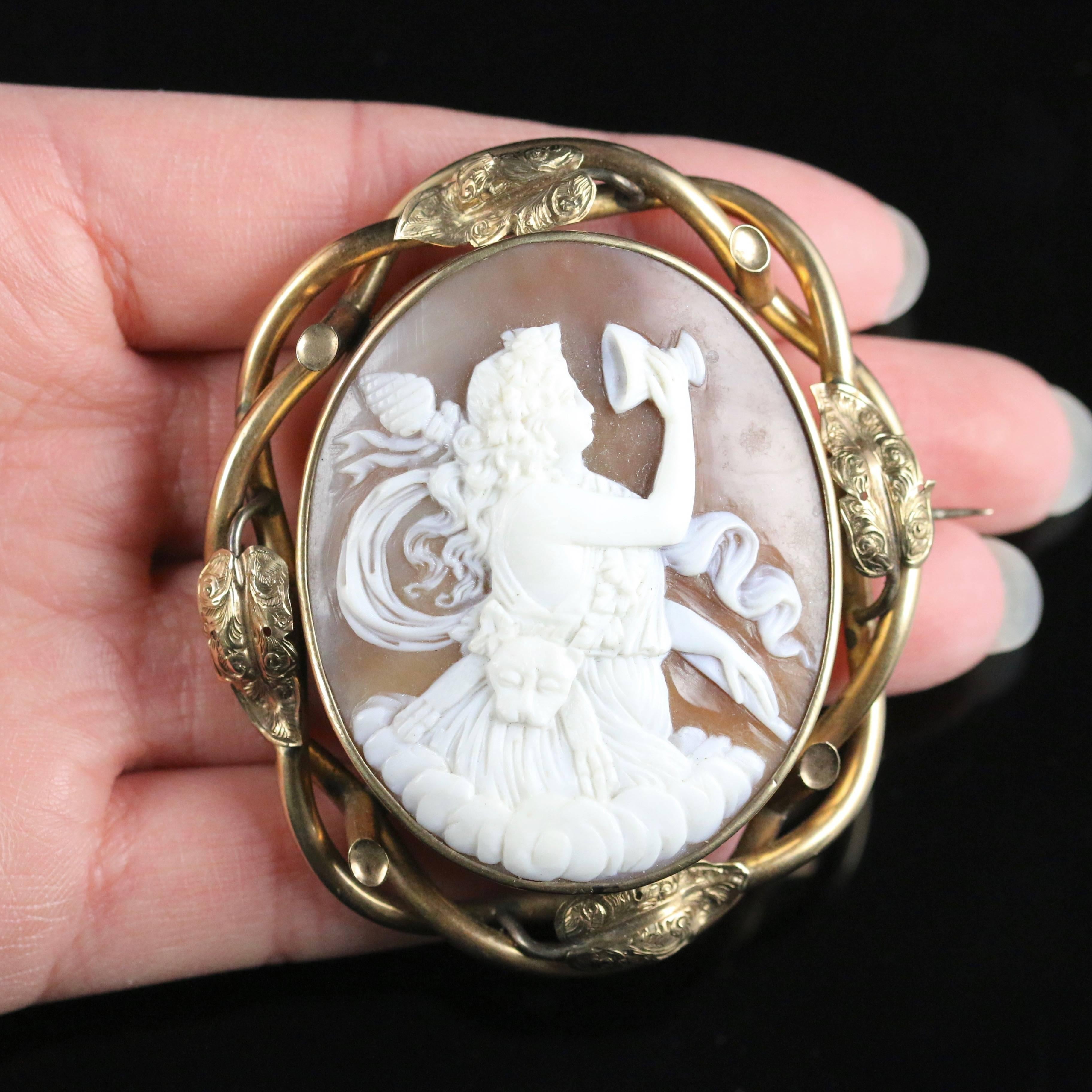 Victorian Bull Mouth Shell Cameo Brooch For Sale 5