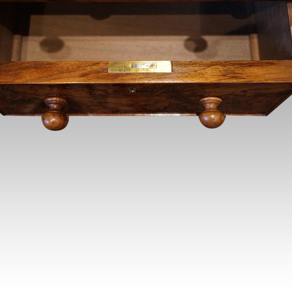 Victorian burr walnut pedestal desk 3