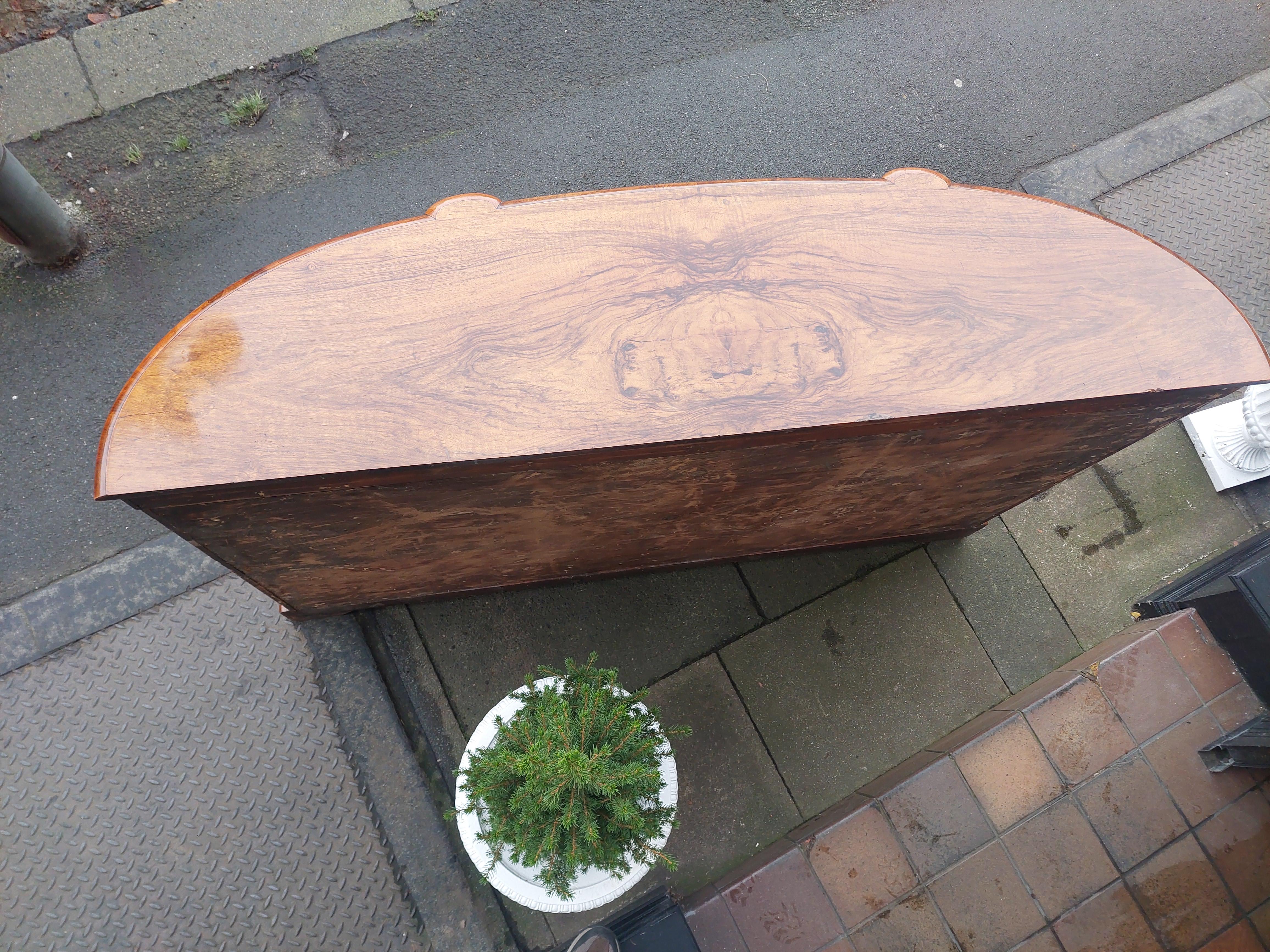 Victorian Burr Walnut Bow Fronted Credenza For Sale 3