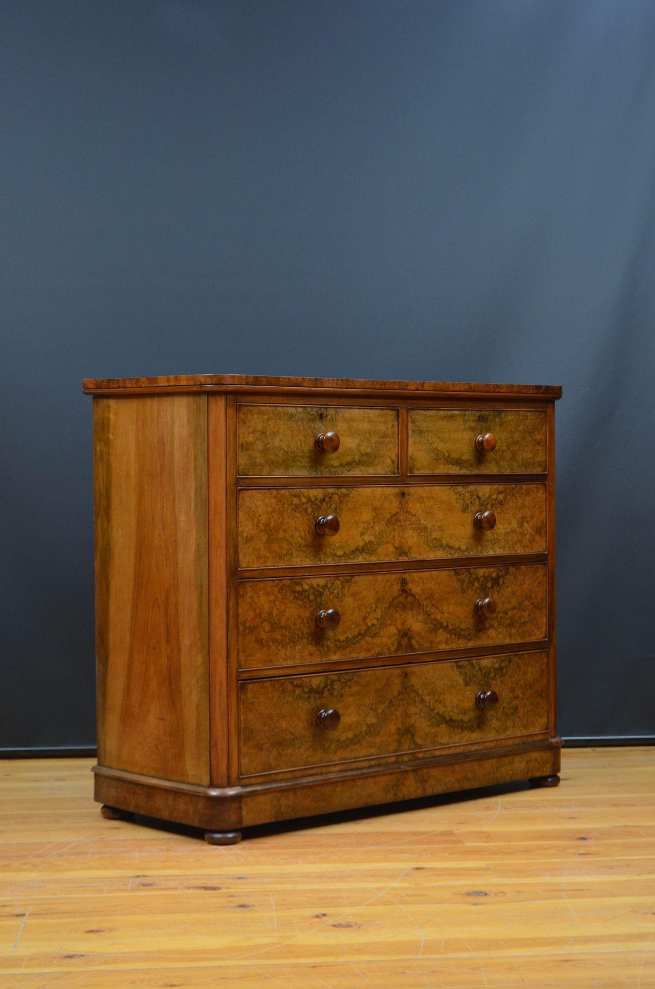 Sn5491 Attractive Victorian figured and burr walnut chest of drawers of rounded shoulder design, having book matched burr walnut top above two short and two long mahogany lined and cockbeaded burr walnut drawers, bottom drawer being a deep base