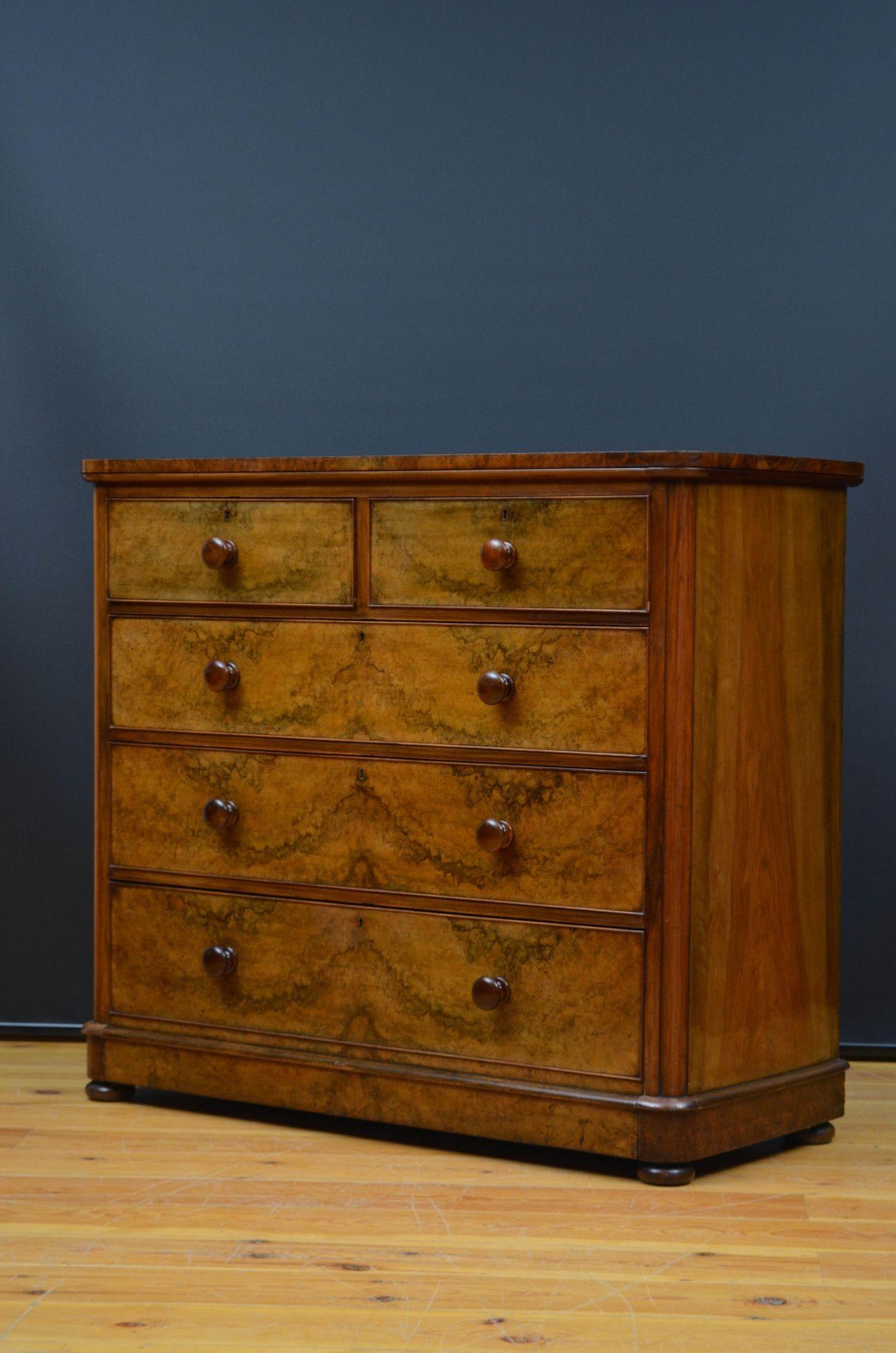 English Victorian Burr Walnut Chest of Drawers For Sale