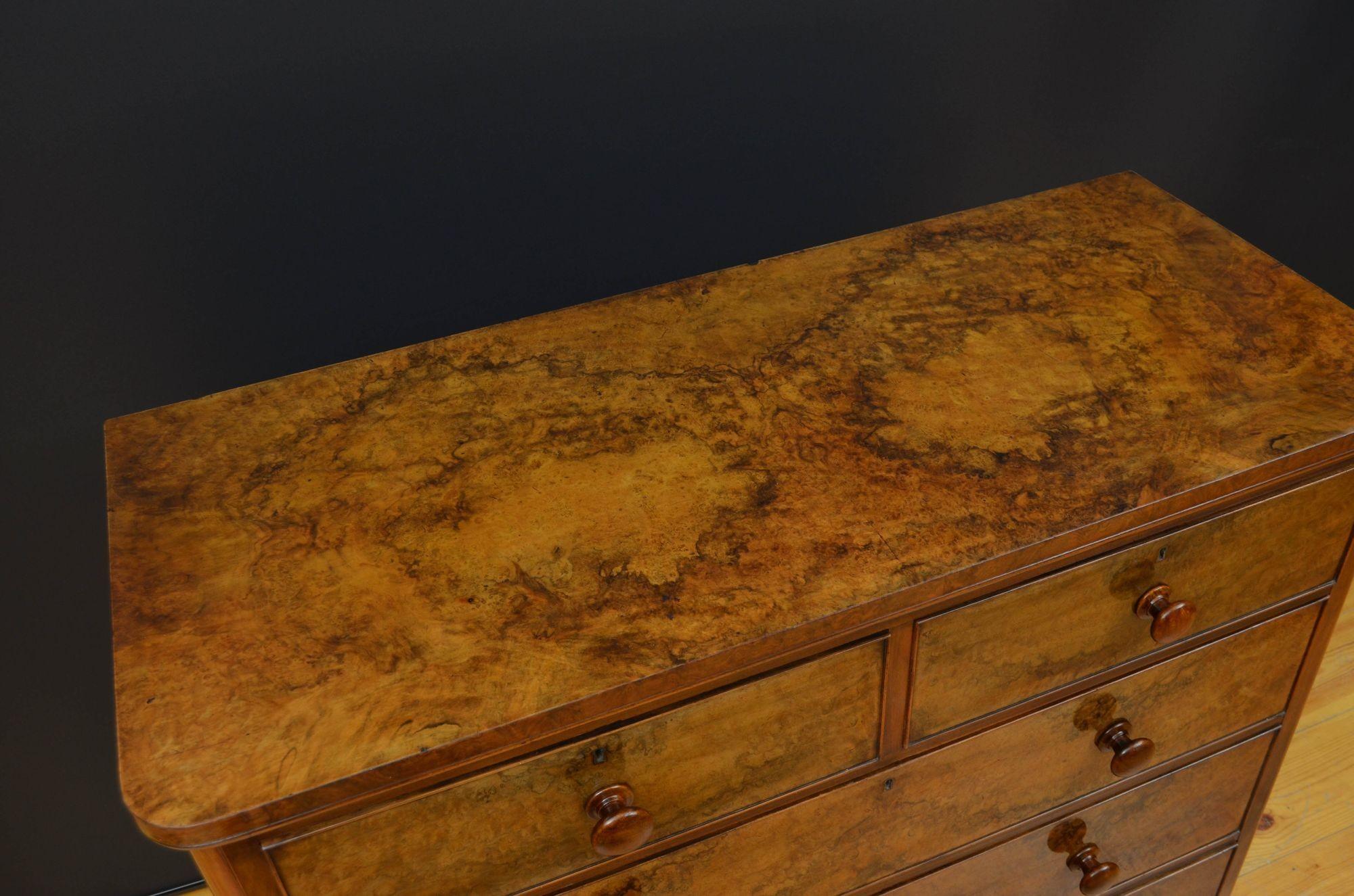 Victorian Burr Walnut Chest of Drawers In Good Condition For Sale In Whaley Bridge, GB