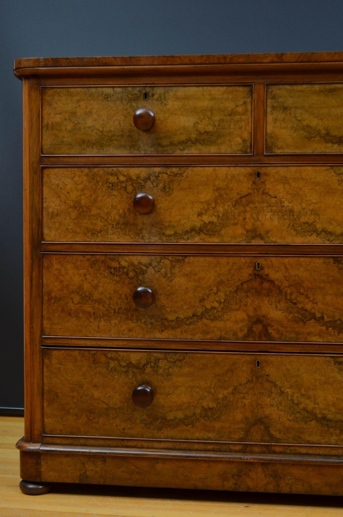 Victorian Burr Walnut Chest of Drawers For Sale 1