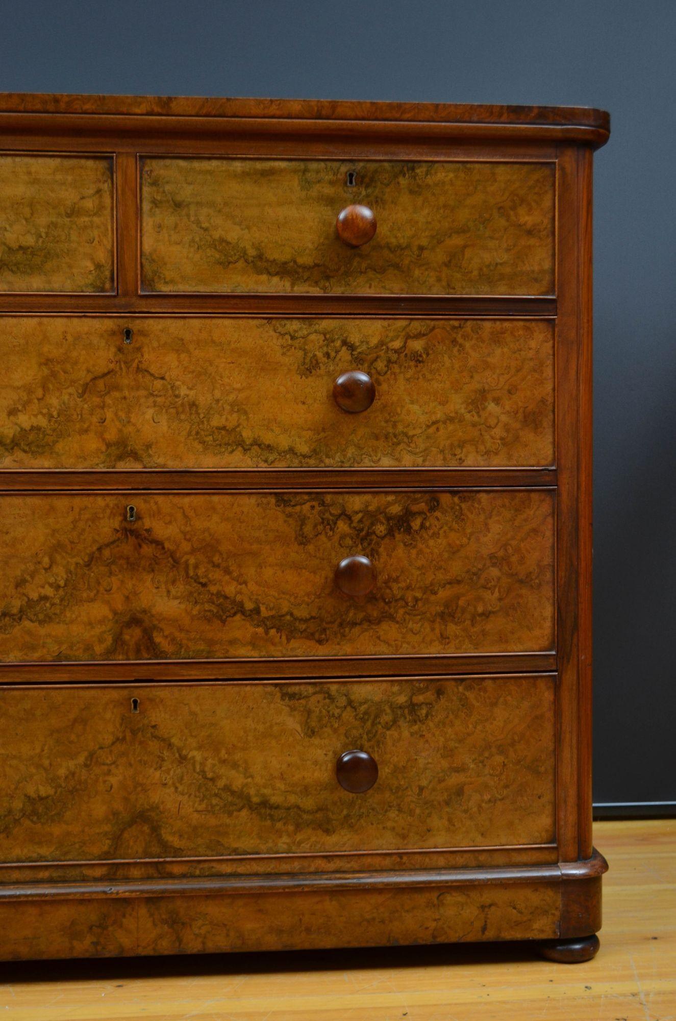 Victorian Burr Walnut Chest of Drawers For Sale 2
