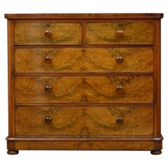 Victorian Burr Walnut Chest of Drawers