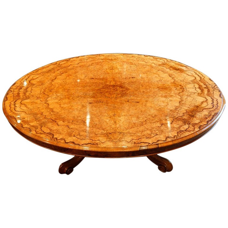 Victorian Burr Walnut Coffee Table For Sale at 1stdibs