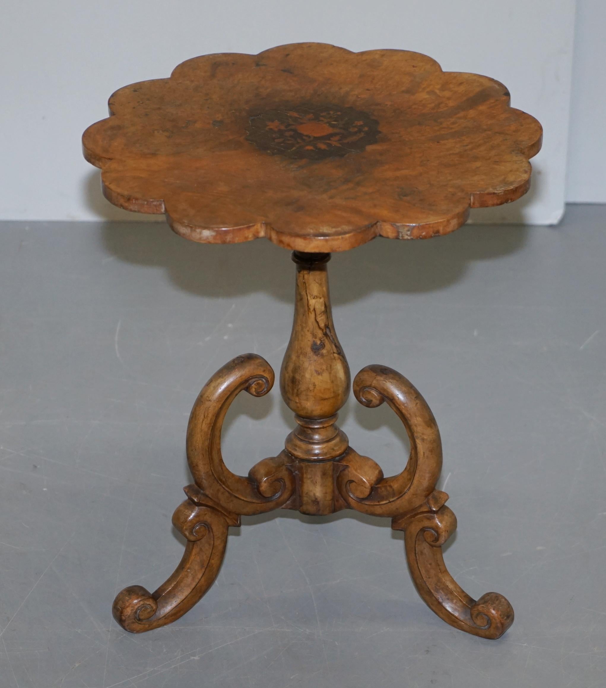 We are delighted to offer this sublime Victorian circa 1860 Burr and Burl Walnut tripod table in original condition with flower petal shaped top 

A glorious little side table, heavily sculptured to the base, the top is in the form of a flower