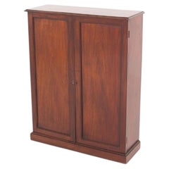 Victorian Cabinet Mahogany Chest Period Antique 1850
