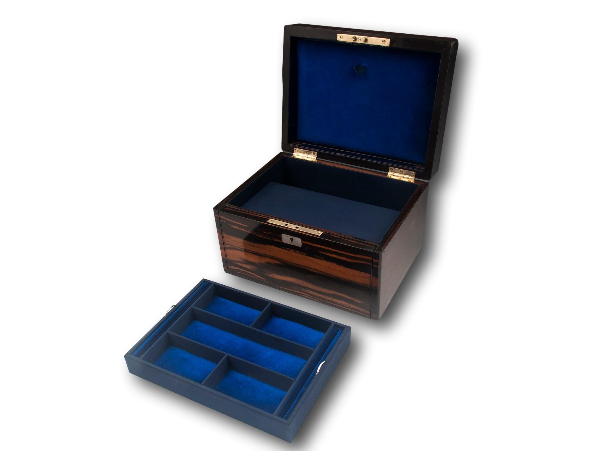 Victorian Calamander Jewellery Box 3