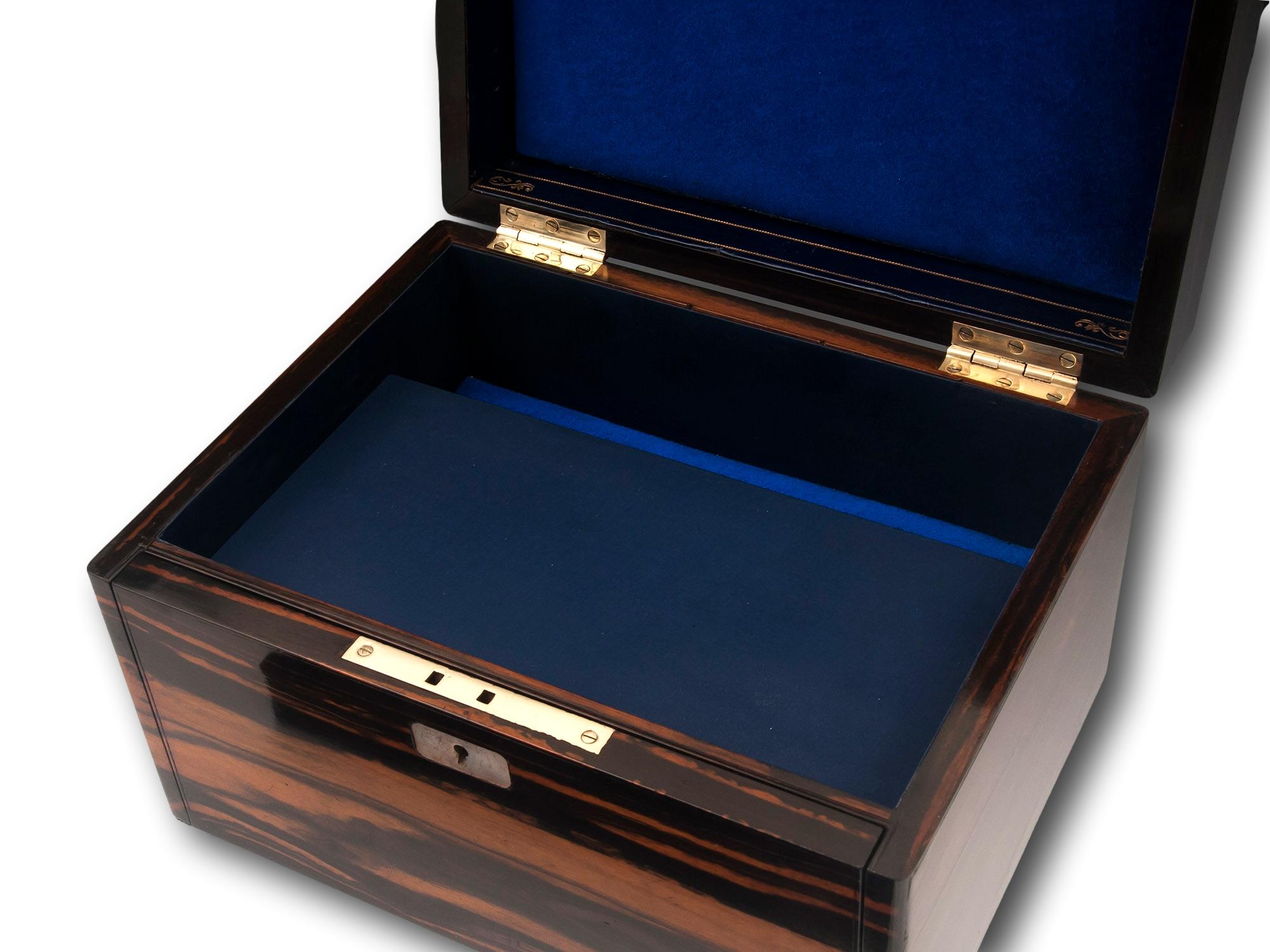 Victorian Calamander Jewellery Box 4