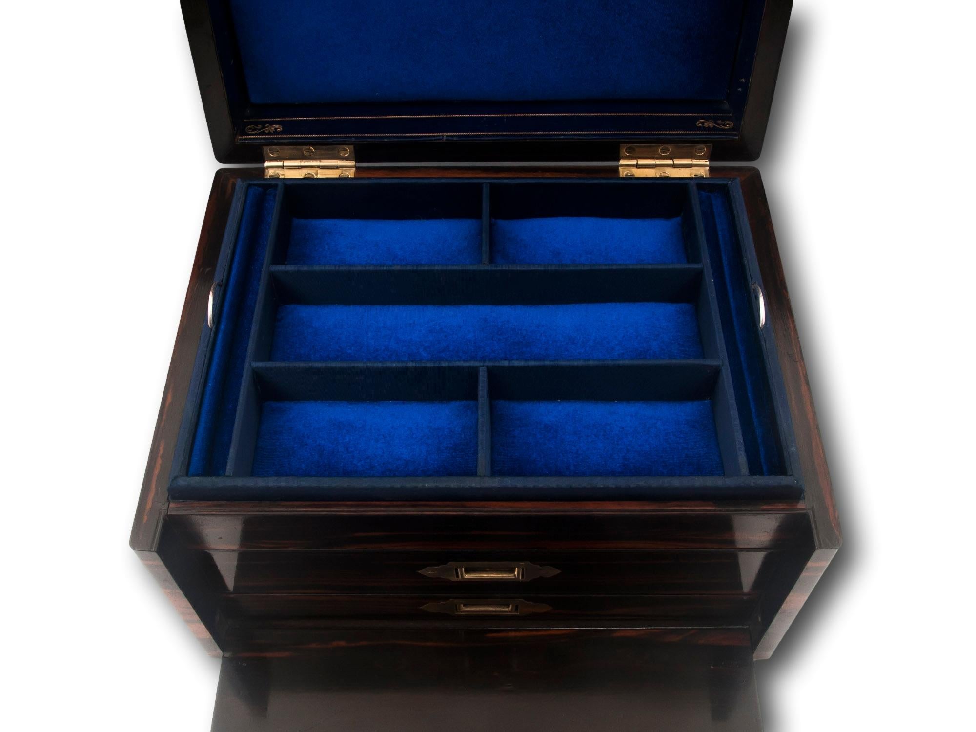 19th Century Victorian Calamander Jewellery Box