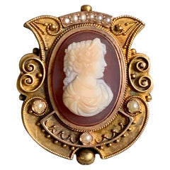 Antique Victorian Cameo 14 Karat Pendant / Brooch