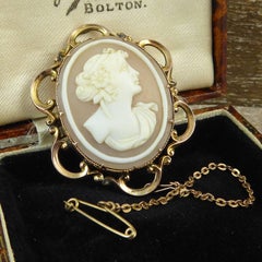 Victorian Cameo Brooch, Classical Lady's Head Carving, Gold Ornate Frame