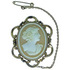 Victorian Cameo Brooch, Classical Lady
s Head Carving, Gold Ornate Frame