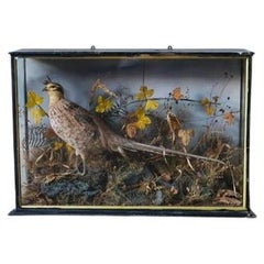 Wood Taxidermy
