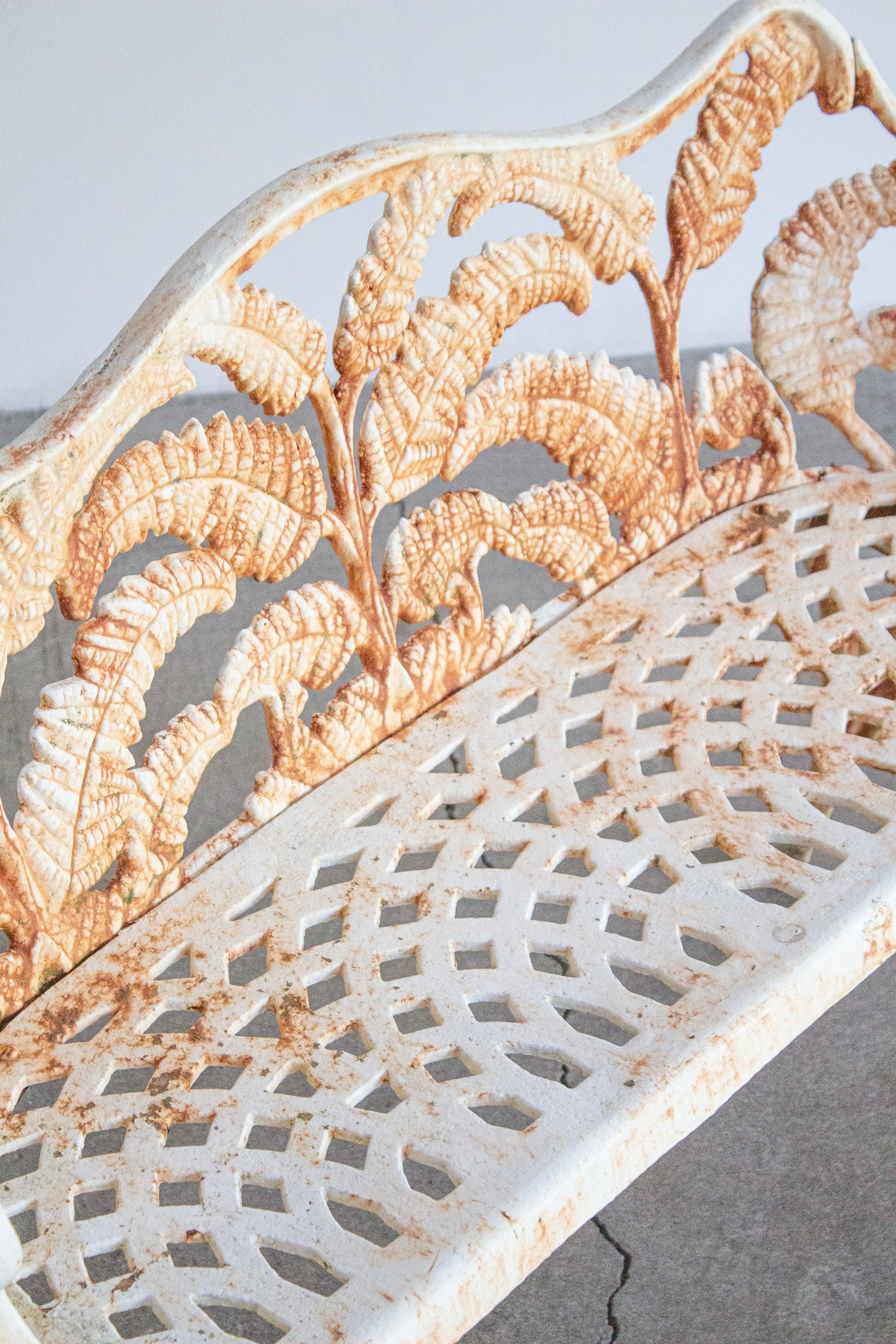 Victorian Cast Iron ‘Fern’ Bench Estadounidense en venta