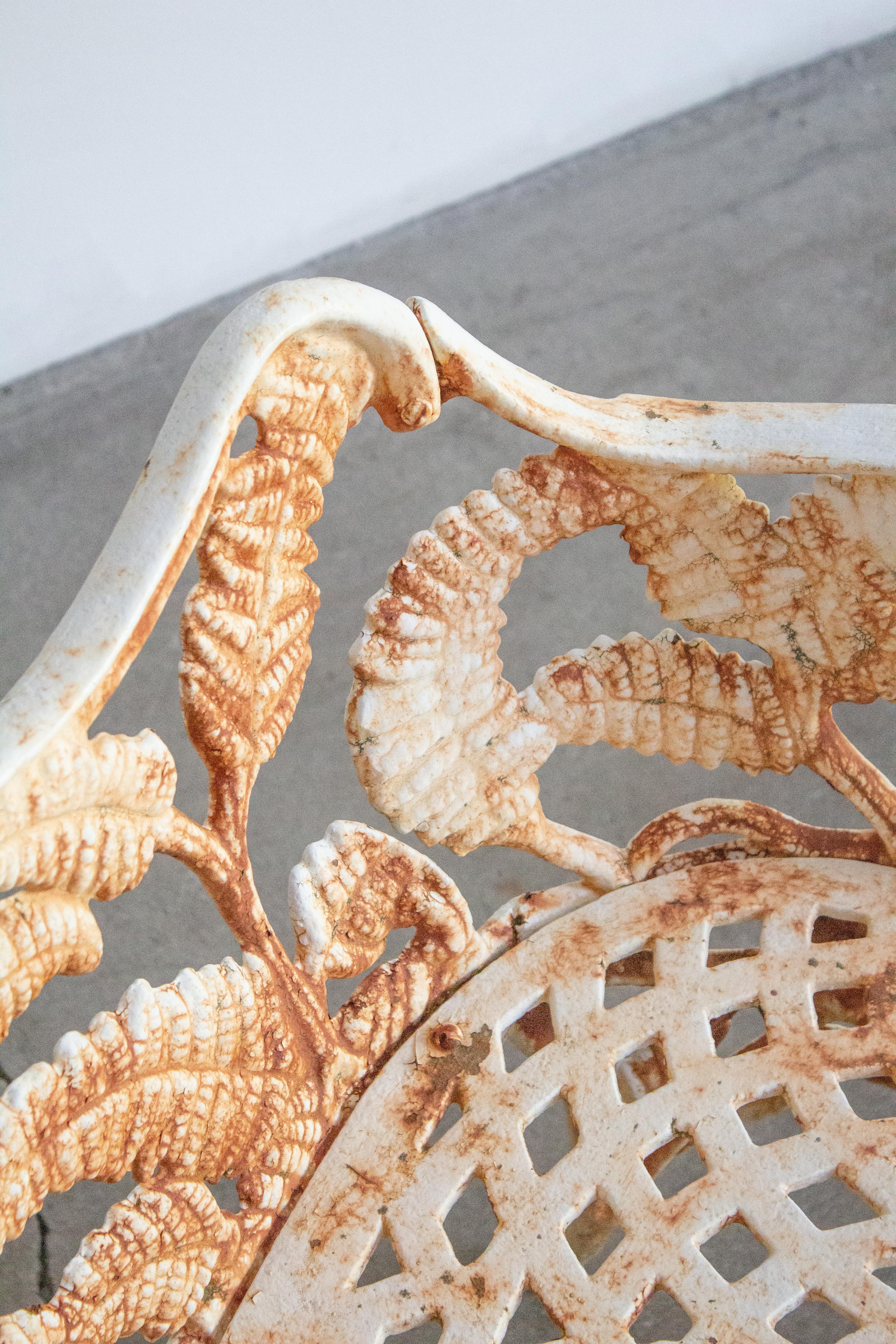 Victorian Cast Iron ‘Fern’ Bench en Desgastado estado para la venta en Brooklyn, NY