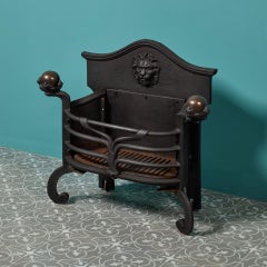 Victorian Cast Iron Fire Grate with Lion Paws