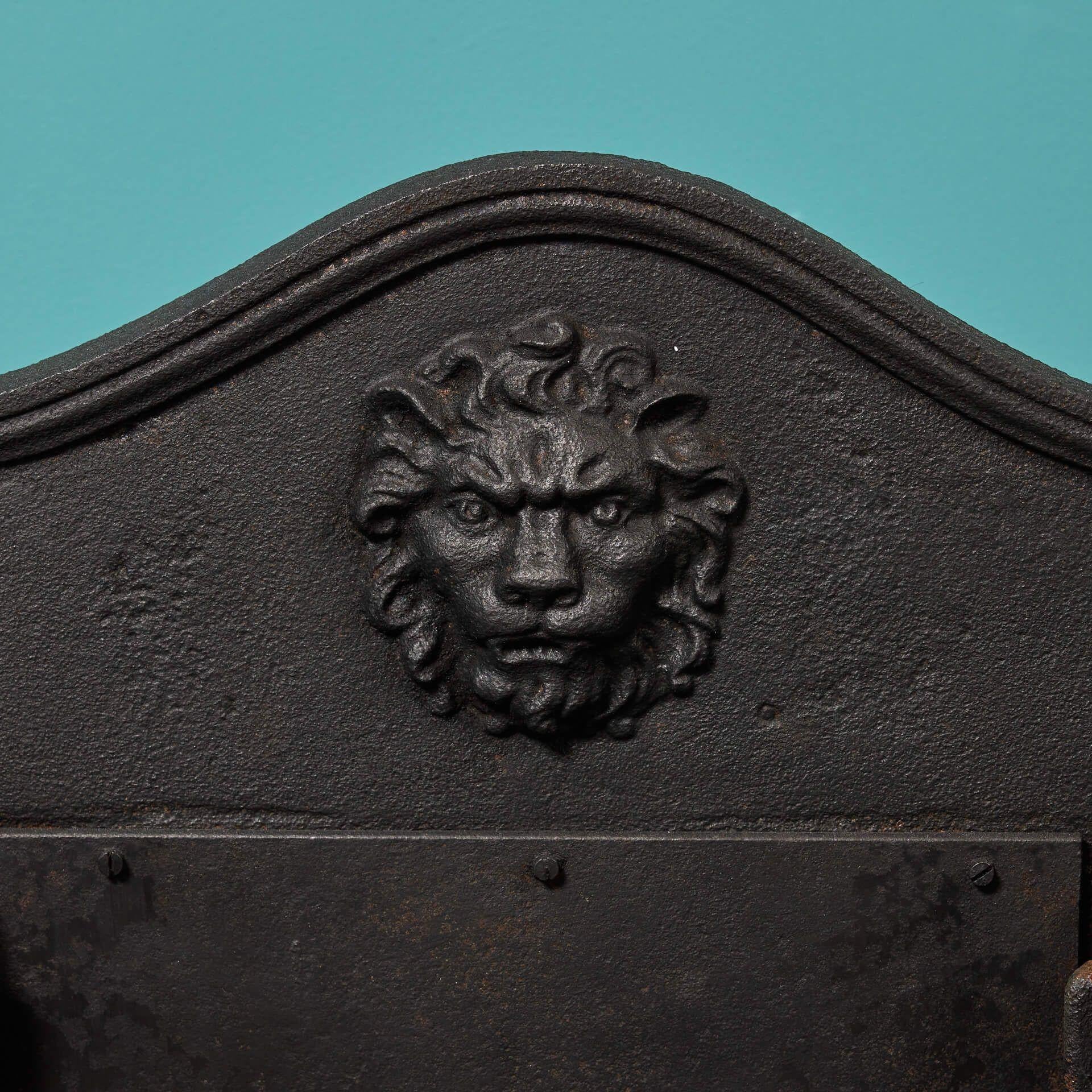 Victorian Cast Iron Fire Grate with Lion Paws In Good Condition For Sale In Wormelow, Herefordshire
