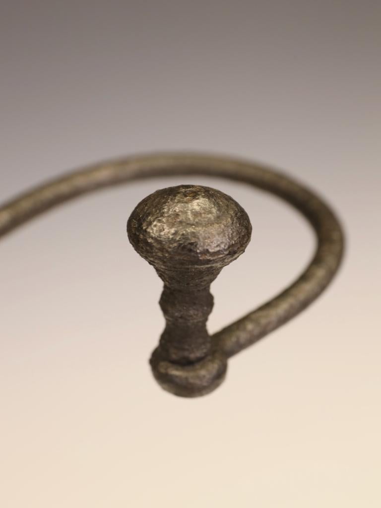 Victorian Cast Iron Fireside Stick Stand with Naturalistic Bird Motif For Sale 3