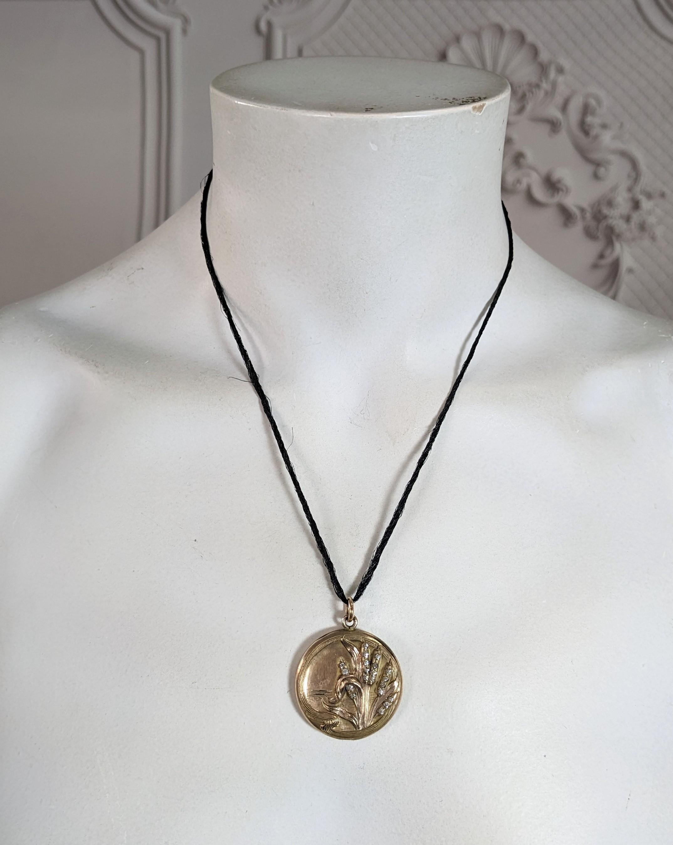 Victorian Cat Tails Paste Locket For Sale 3