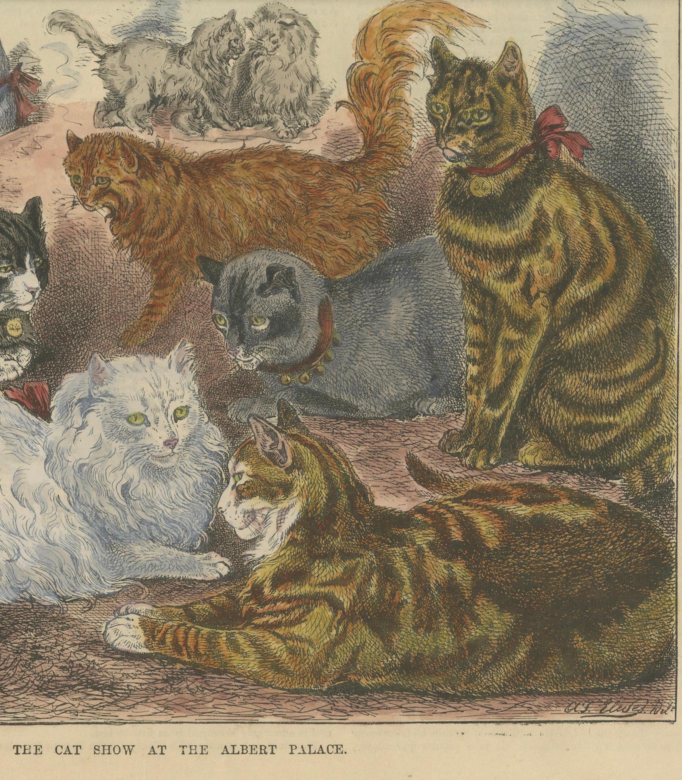 Late 19th Century Victorian Cats on Display: Woodcut from the Albert Palace Cat Show, ca.1890 For Sale