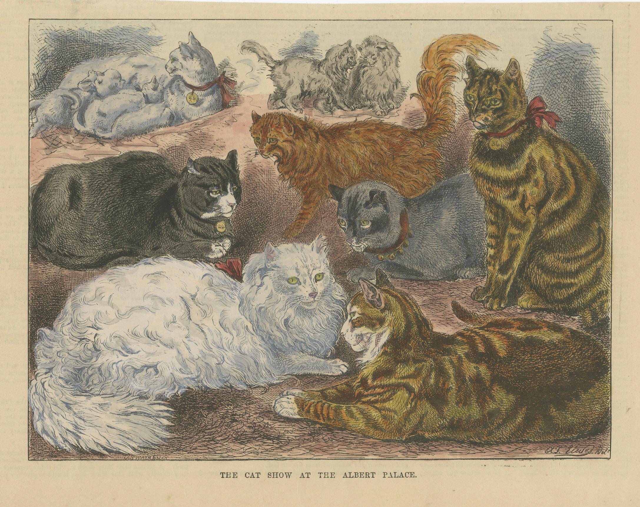 Paper Victorian Cats on Display: Woodcut from the Albert Palace Cat Show, ca.1890 For Sale