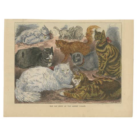 Victorian Cats on Display: Woodcut from the Albert Palace Cat Show, ca.1890