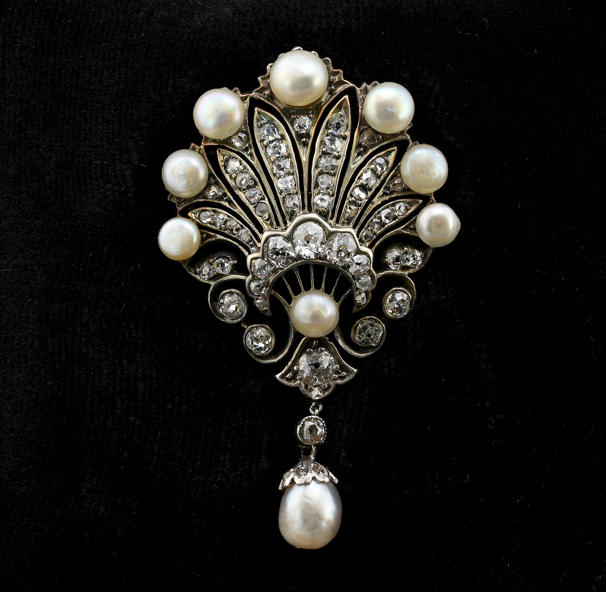 his lovely antique brooch is Victorian period, 1870 circa
Elegantly designed in a triumph of Diamond rays complemented by natural not nucleated salt sea Pearls and swinging drop Pearl as finial, coming with related lab certification
Pearls are