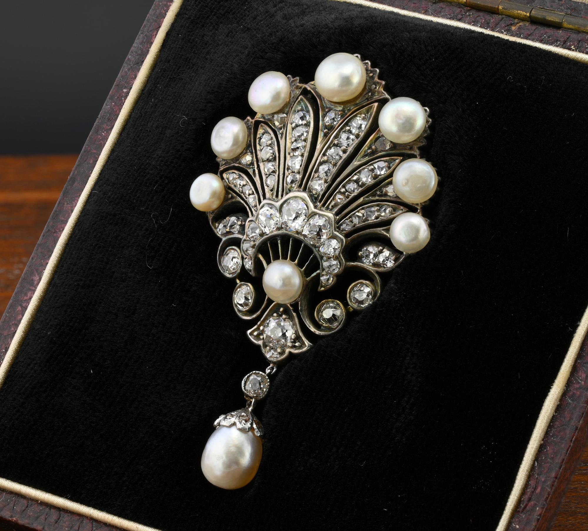 Victorian Certified Natural Pearl 1.60 Ct Diamond Brooch In Good Condition For Sale In Napoli, IT