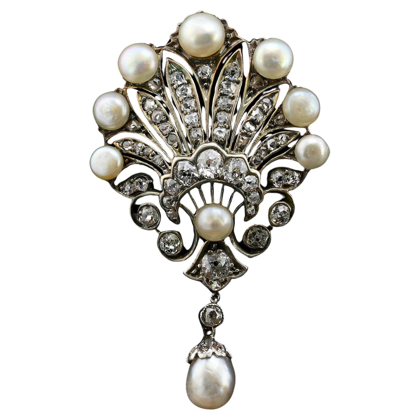Victorian Certified Natural Pearl 1.60 Ct Diamond Brooch For Sale