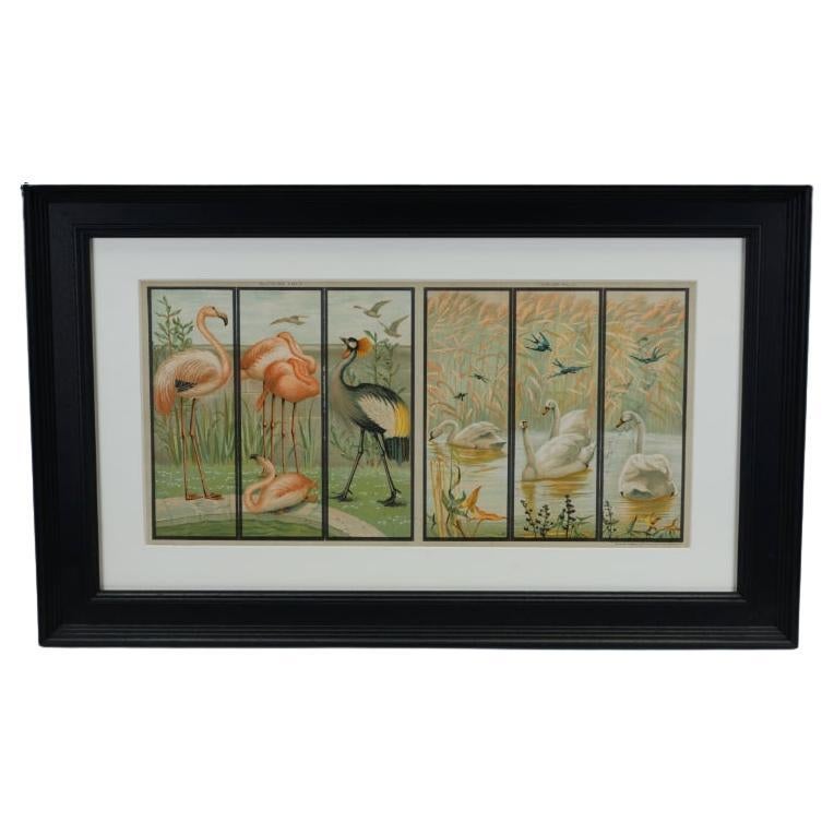 The Swan Triptych and Flamingos Chromolithographs, Victorian, Black Frame For Sale