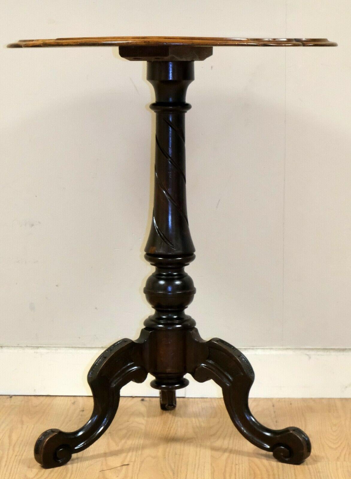 English Victorian circa 1860 Burr Walnut Tripod Side End Table with Scalloped Edge For Sale