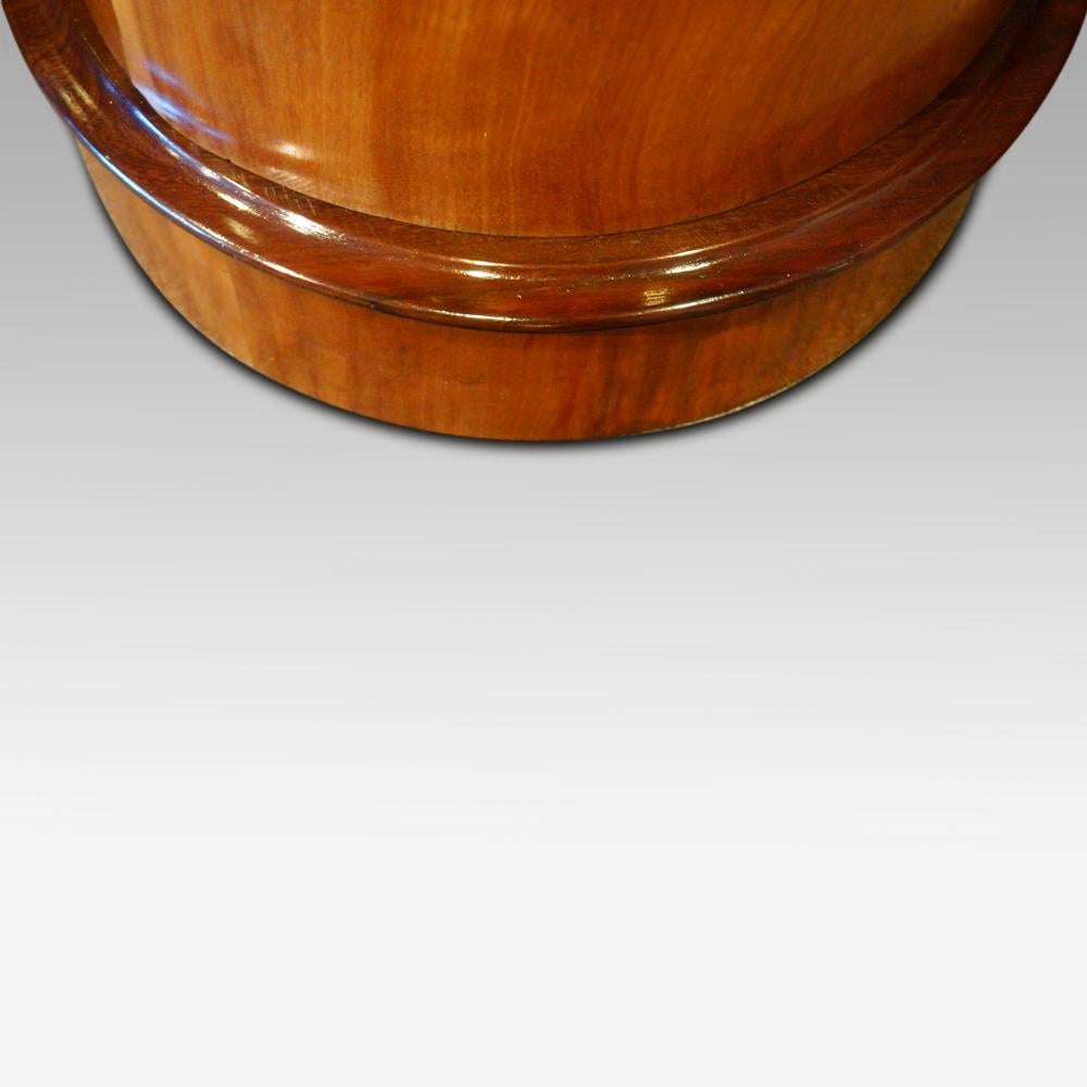 Late 19th Century Victorian Circular Satin Birch Cupboard