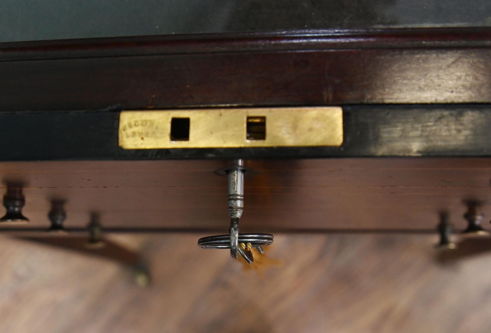 Victorian Collectors Cabinet Chest Mahogany Display 1880 en venta 1