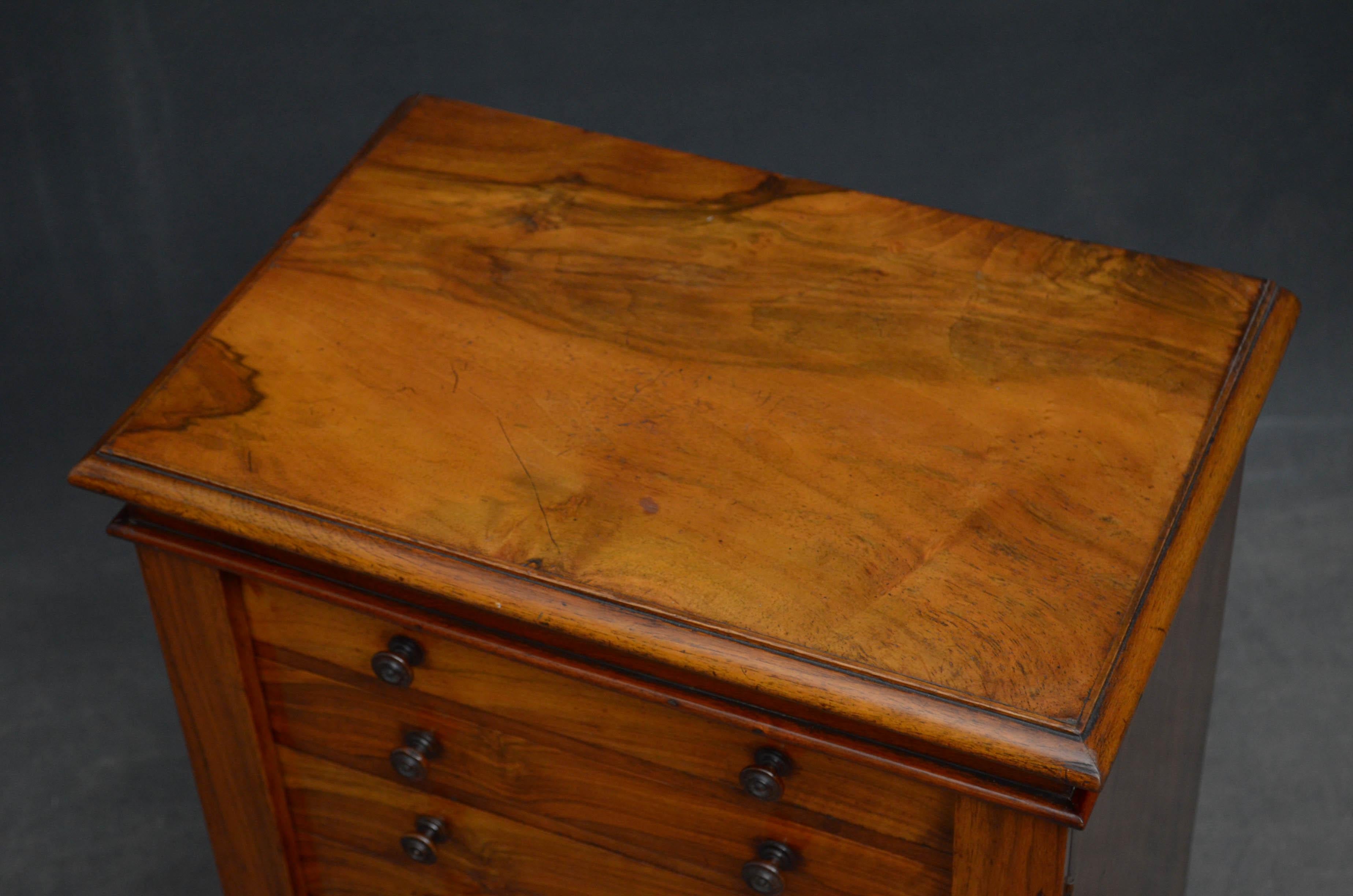 English Victorian Collectors Cabinet in Walnut