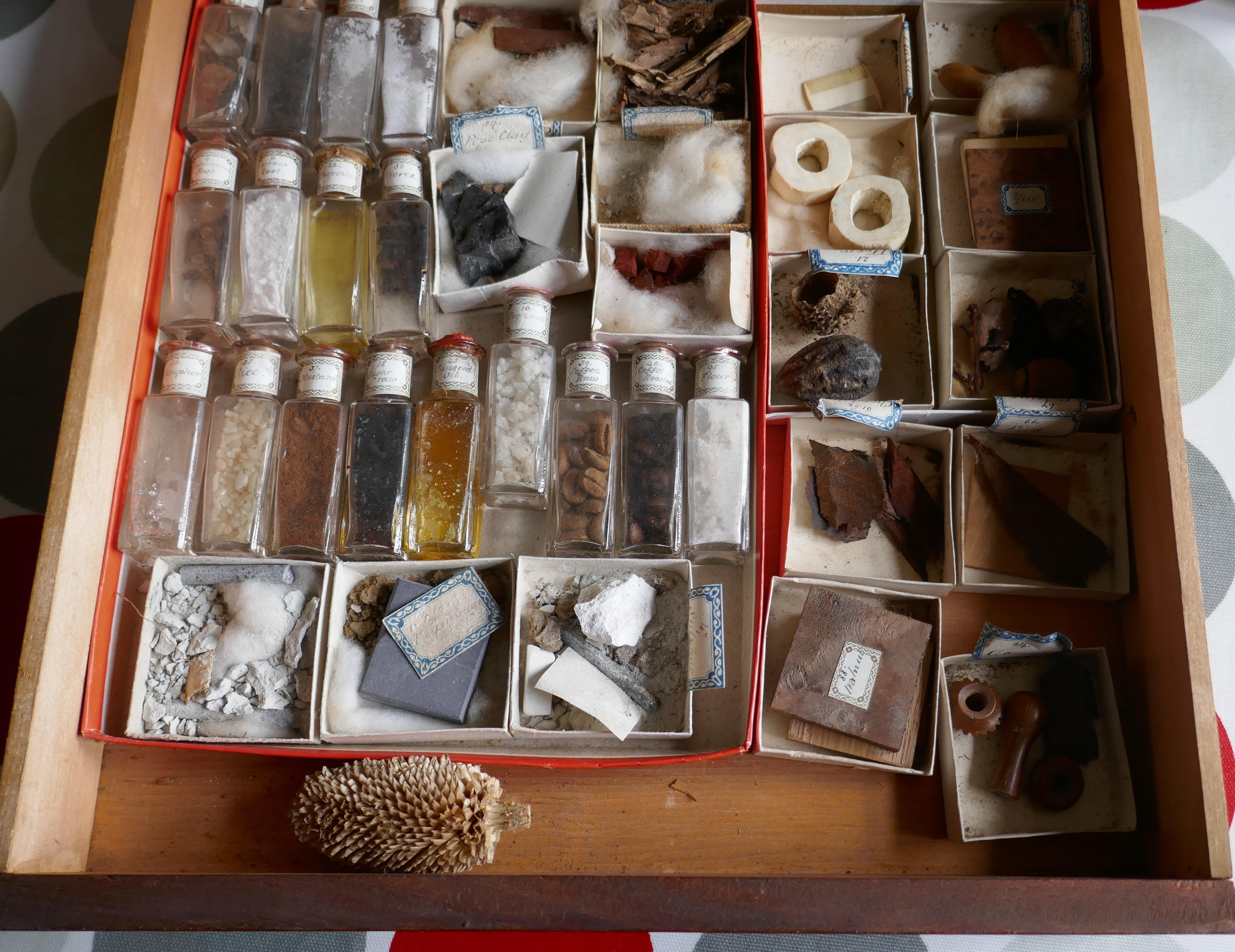 viktorianischer Sammlerschrank, Porzellanmuseum mit Inhalt im Zustand „Gut“ im Angebot in Chillerton, Isle of Wight